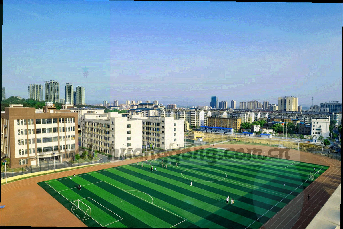 抽象安卓设备与两个步骤圆点并列排布，中间由一条金线连接，背景为深紫色，画面中不含任何真实账号信息